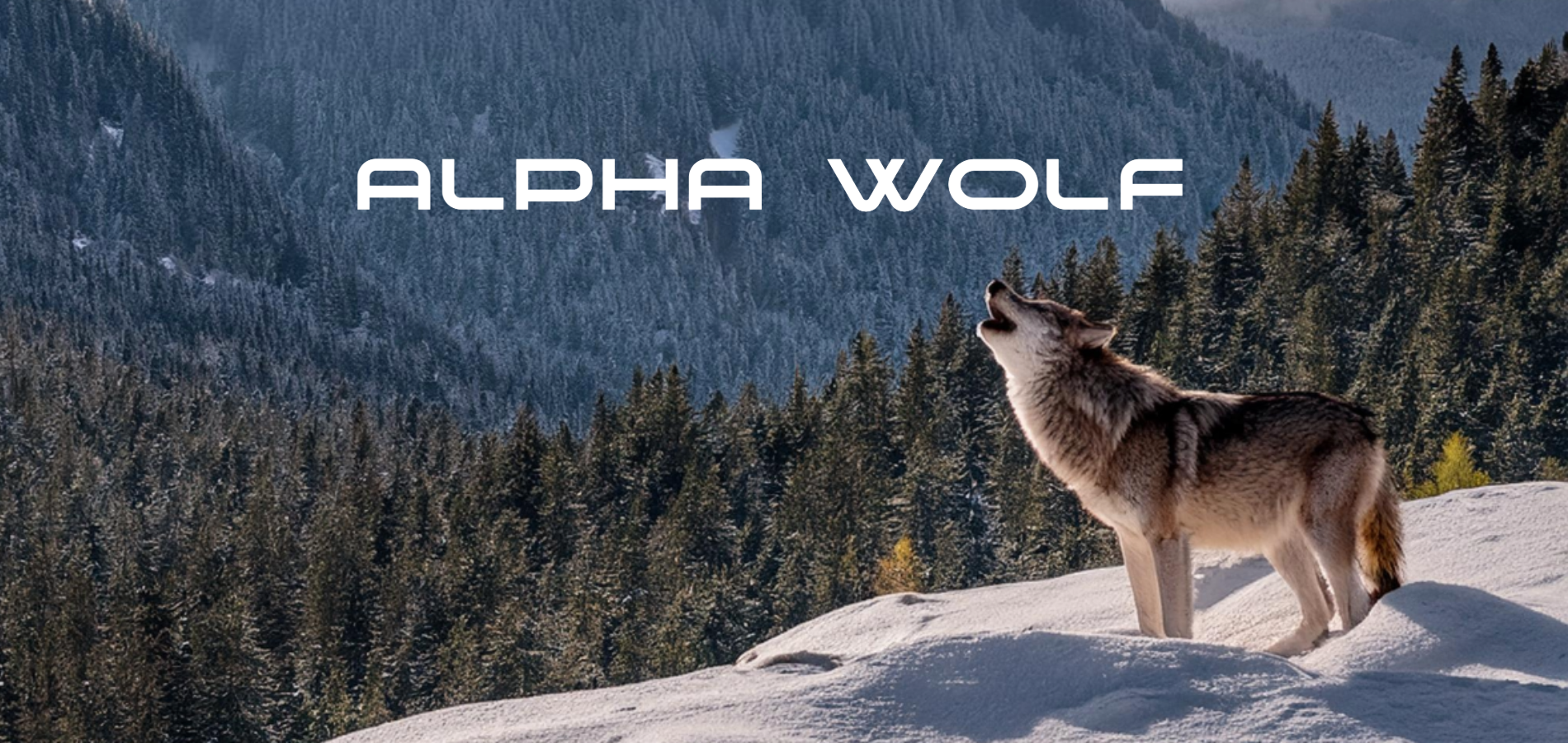 Alpha Wolf Travel Trailers - Forest River RV